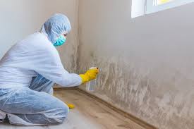 Best Environmental Consulting for Mold Prevention  in Lapwai, ID