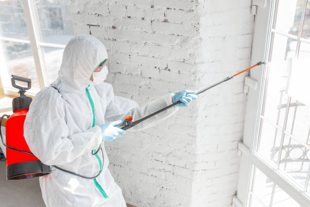 Best Commercial Mold Inspection  in Lapwai, ID